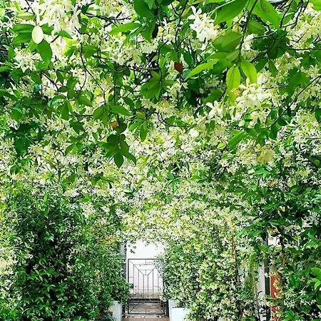 Jasmine Garden